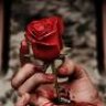 AL-MjROoo7a