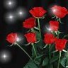 الورده المكنونه