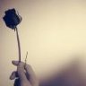 مرافئ كويتيات
