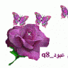 ام عبود_q8