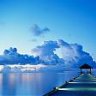Blue Dreems