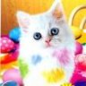 goldengirl_q8
