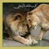 العذّر َ~فاتكـَ