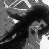 miss nafsya