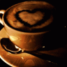 Roo7e T7bk