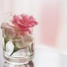 على حلهـ