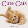 cute-q8cat