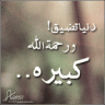 roo7 elqseed