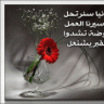 منتظره الفرج