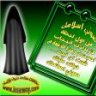 اللوتس1