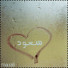 شووق سعوود