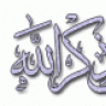الزين غلاوي