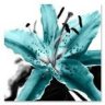 Blue Lily