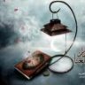 أضواءالقمر