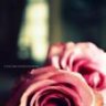 ُEng.Gucci