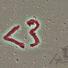 ضمةة شوق . .
