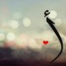 رمش العين