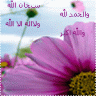 راجية الجنه
