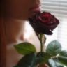rose-q8