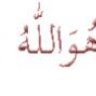 العنيدة