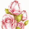 فانفير