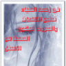 الشــــــــامخه