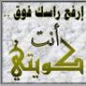 Zain_elZain