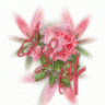 مستجده