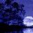 moonlight