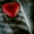 GueSS.q8