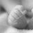A7bny =)