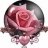 glitter rose