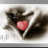 شمعة الدنيا