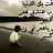 الانس بالله