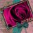 warda.17
