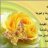 اسيرة الانتضار