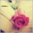 آم عوآشه