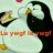 فـراشـه