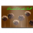 dandoshcakeball