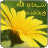 حلوه وبس