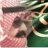 شعشع قمر