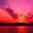 PiNkIsH