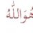 العنيدة
